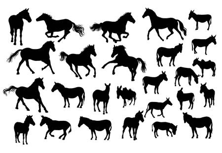 Horse, Donkey and Zebra Silhouettes, art vector designのイラスト素材
