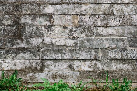 Antique masonry of gray stone covered with dark moss. The foundation of the house or the base of a gray brick fence with grass growing at the baseの写真素材