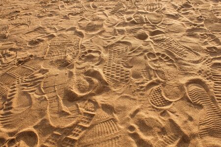 Traces of protectors of shoes, bare feet and gulls on the sand in the rays of the warm sunset sun. Birds and people walk on the beachの写真素材