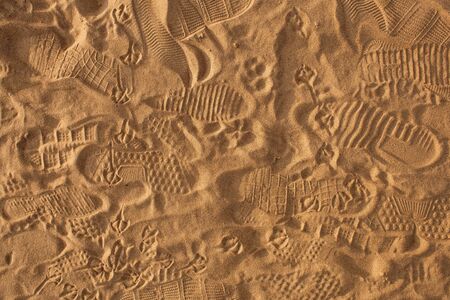 Traces of protectors of shoes, bare feet and gulls on the sand in the rays of the warm sunset sun. Birds and people walk on the beachの写真素材