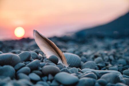 Backlit beautiful sunset on the beach with a feather. Feather of a seagull on a stone beachの写真素材