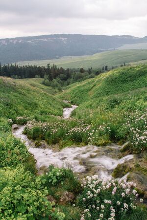 The source of the Molochka river is the Lagonaki plateau, flowing into the Kurjips river.の写真素材