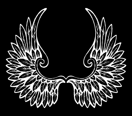 hand drawn wingsのイラスト素材