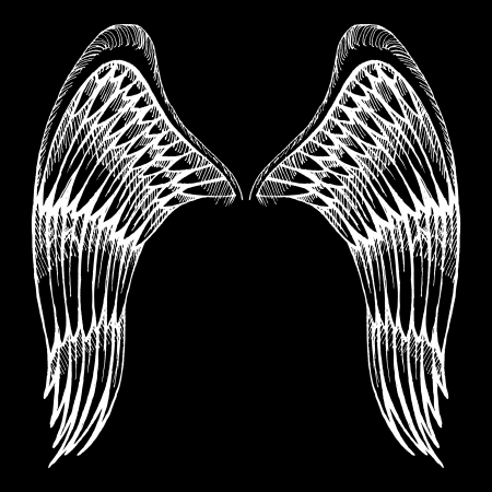 hand drawn wingsのイラスト素材