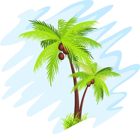 palm treeのイラスト素材