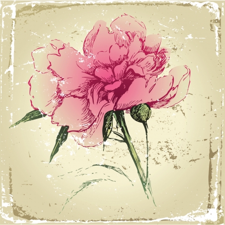retro-styled hand drawn peony flowerのイラスト素材