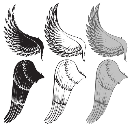 wings in 3 color variationsのイラスト素材