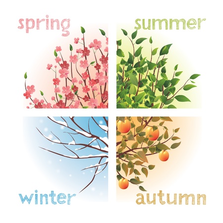 4 seasons in 1 tree 4 seasons in 1 tree