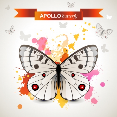 Apollo butterfly over bright backgroundのイラスト素材