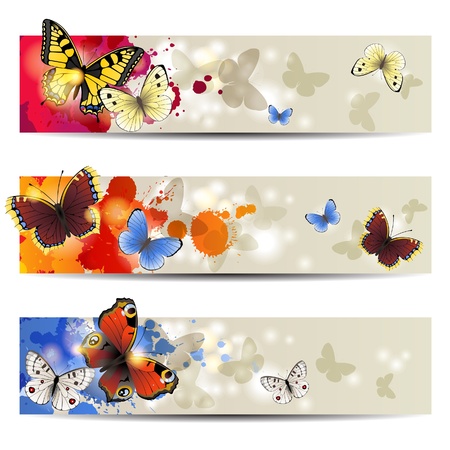 3 bright shiny banners with butterfliesのイラスト素材