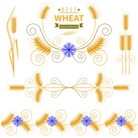Wheat design elements setのイラスト素材
