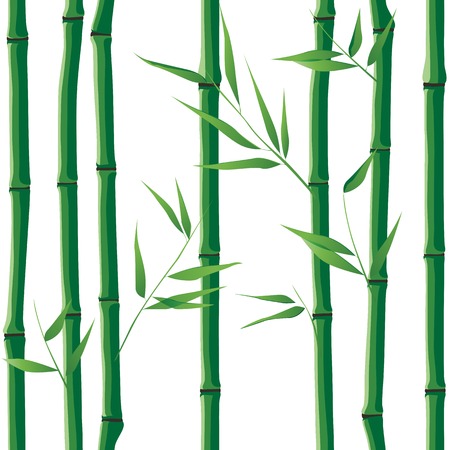 seamless bamboo pattern ower white backgroundのイラスト素材