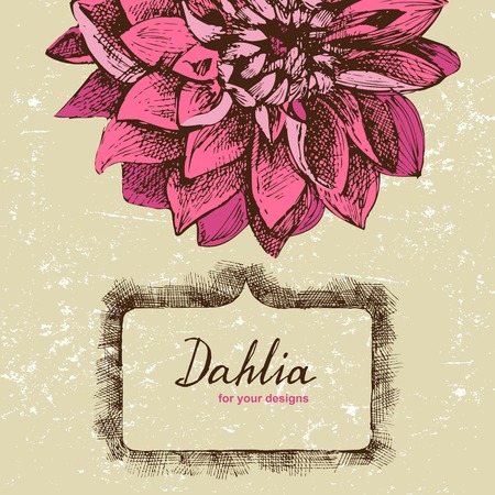 Vintage background with hand drawn dahlia flowerのイラスト素材