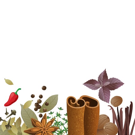 background with spices and place for your textのイラスト素材