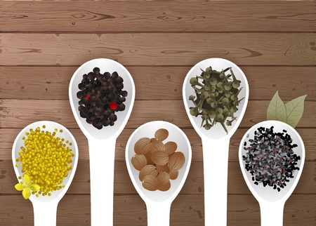 different spices in spoons over wooden backgroundのイラスト素材