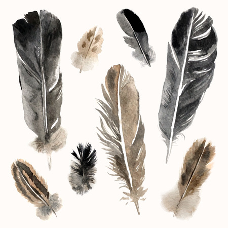 Highly detailed watercolor feathers on white backgroundのイラスト素材