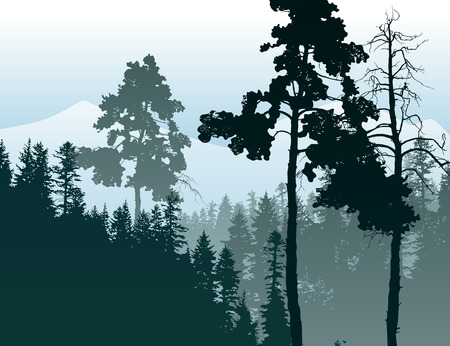 Retro-styled poster with coniferous forest landscapeのイラスト素材