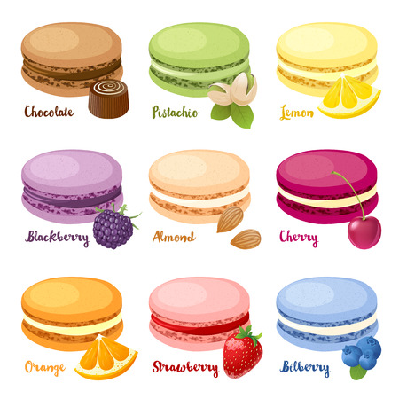 Set of 9 different taste macaroonsのイラスト素材