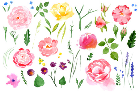 Beautiful watercolor flower set over white background