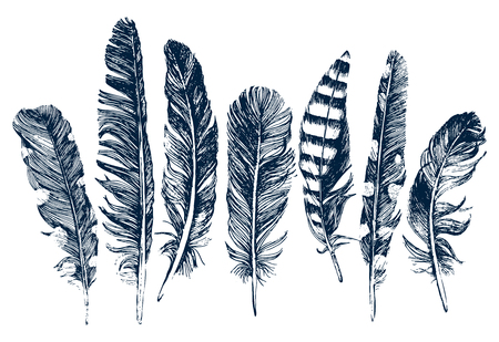 7 hand drawn feathers on white background