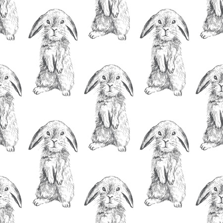 Seamless pattern with hand drawn haresのイラスト素材