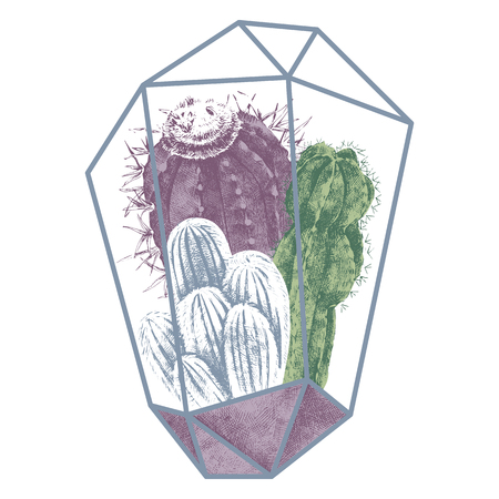 cactuses colorful hand drawn illustrationのイラスト素材