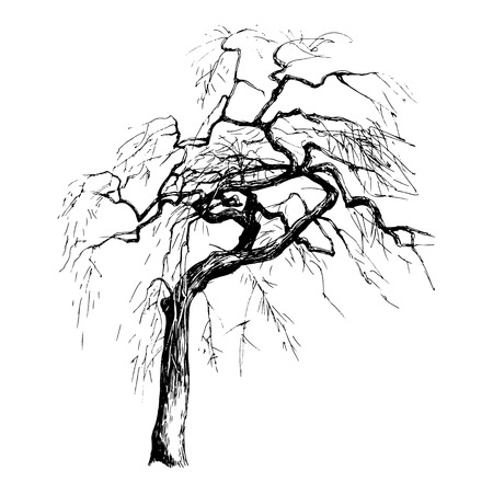 Hand drawn tree silhouette on white backgroundのイラスト素材