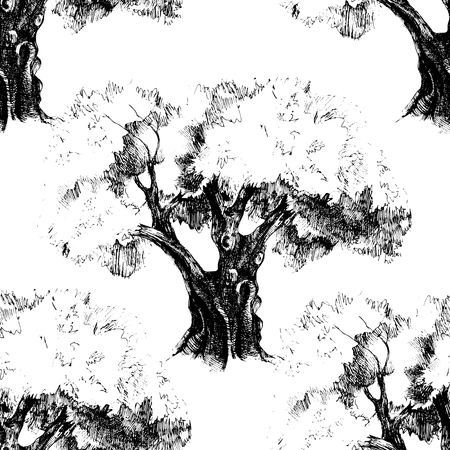 Seamless pattern with old hand drawn olive treeのイラスト素材