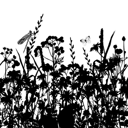 Hand drawn seamless border with black and white herbs and flowersのイラスト素材