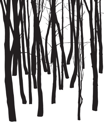 Black and white vertical forest landscape with trunks of treesのイラスト素材