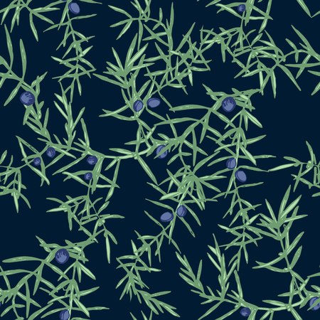 Seamless pattern with hand drawn juniper brunchesのイラスト素材