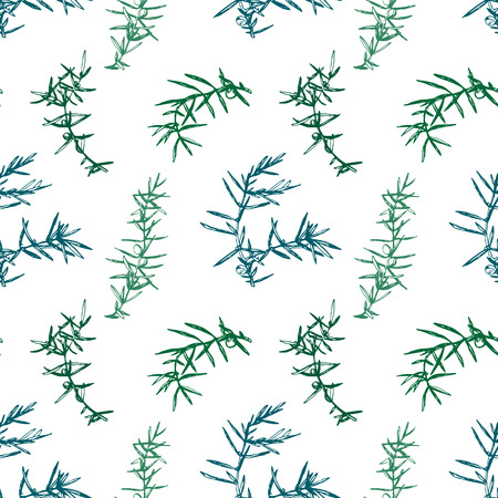 Seamless pattern with hand drawn juniper brunchesのイラスト素材