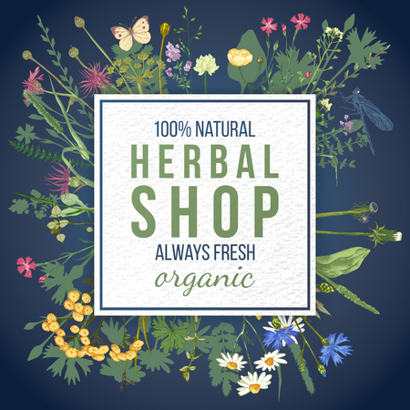 Herbal shop square emblem over wild herbs and flowers pattern. Easy to use in your organic and eco friendly designsのイラスト素材