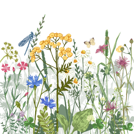 Hand drawn border with colorful herbs and flowersのイラスト素材