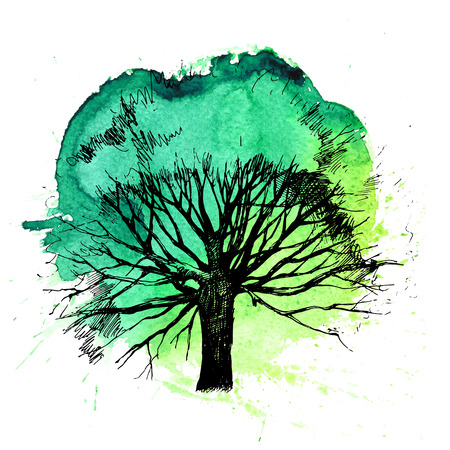 Hand drawn tree silhouette on white backgroundのイラスト素材