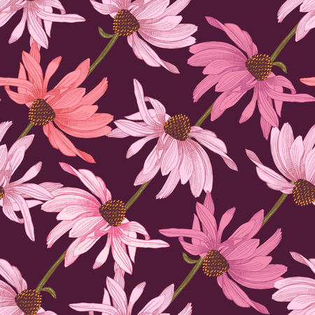 Hand drawn seamless pattern with echinacea flowers on dark backgroundのイラスト素材