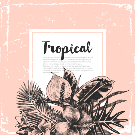 Background with tropical plantsのイラスト素材