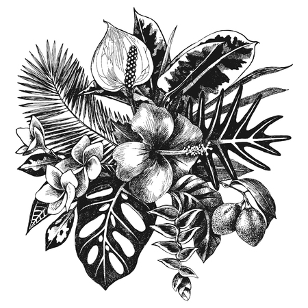 hand drawn tropical plantsのイラスト素材