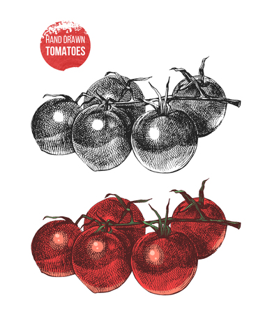 Hand drawn cherry tomatoesのイラスト素材