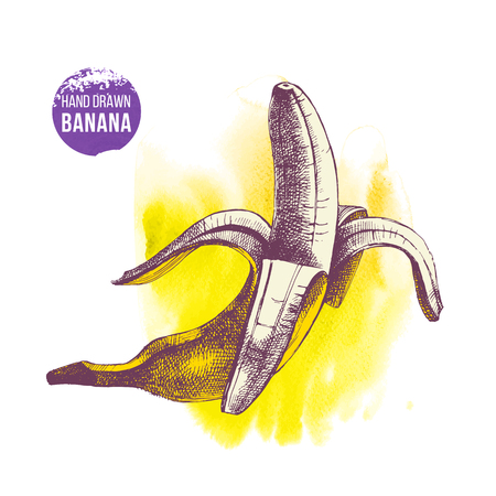 Hand drawn banana on watercolor yellow backgroundのイラスト素材