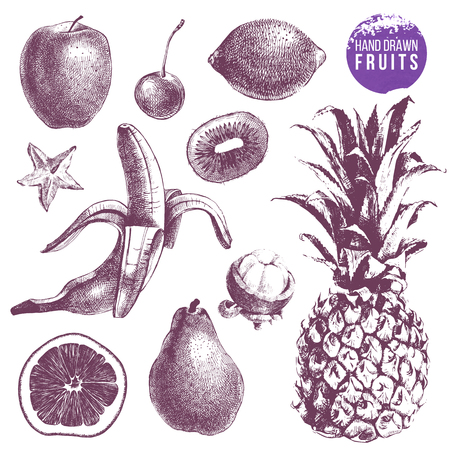 Set of hand drawn juicy fruits.のイラスト素材