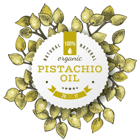 Phistachio oil label over hand drawn nutsのイラスト素材