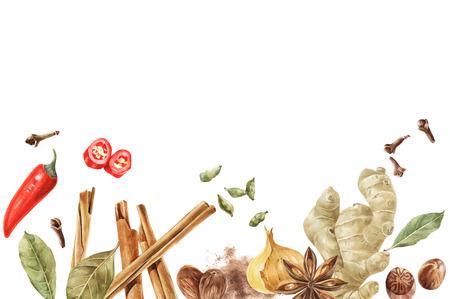 Colorful spices border for cooking designsの写真素材