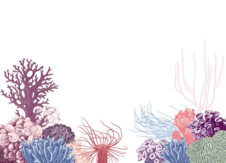 Vector background with hand drawn colorful coral reef. Vector illustration in vintage styleのイラスト素材