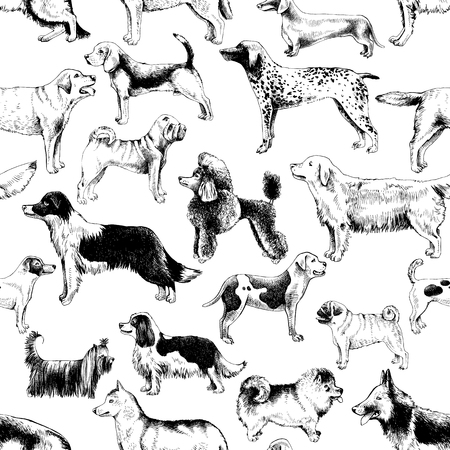 Seamless pattern with dog breedsのイラスト素材