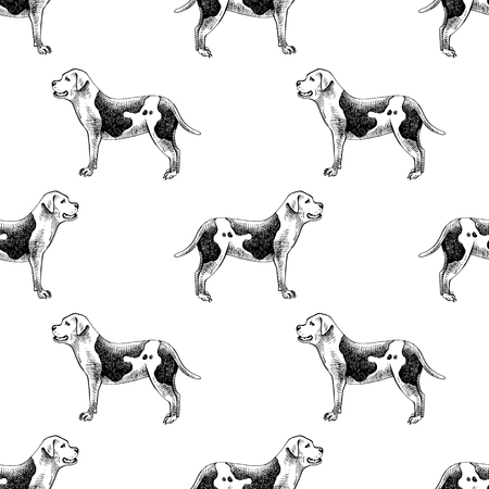 Hand drawn seamless pattern with american bulldogsのイラスト素材