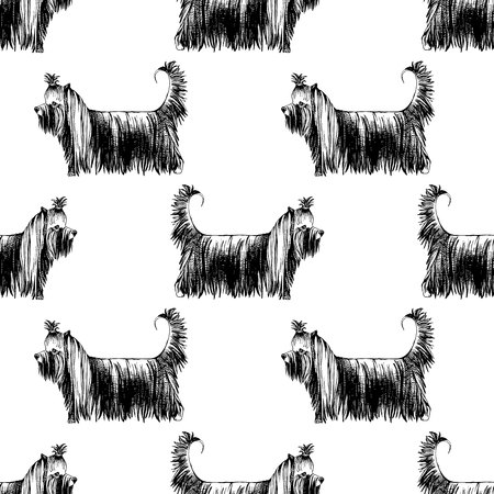 Seamless pattern with hand drawn Yorkshire Terriersのイラスト素材