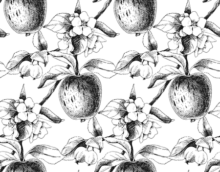 Seamless pattern with hand drawn apple branches. Vector illustrationのイラスト素材