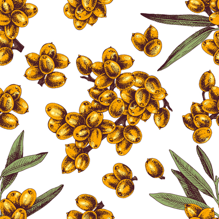 Seamless pattern with hand drawn sea buckthorn branchesの写真素材