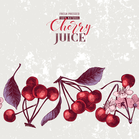 Retro-styled background with type design and seamless cherry border. Vector illustrationのイラスト素材